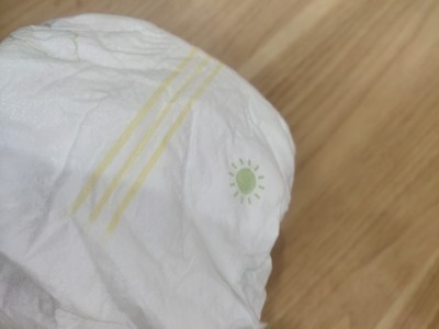 Büyük Boy Tek Kullanımlık Su Geçirmez Çekme Pantolon Yüksek Emici