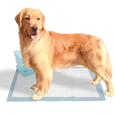 Köpekler için kağıt mendil Kabartmak Hamuru SAP Tek Kullanımlık Pet Pedleri
