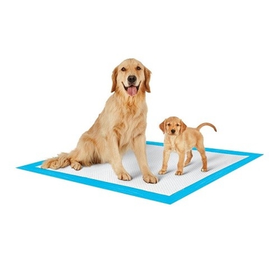 Soft Nowoven İç Mekan Dış Mekan Tek Kullanımlık Pet Pedleri %100 Pamuk