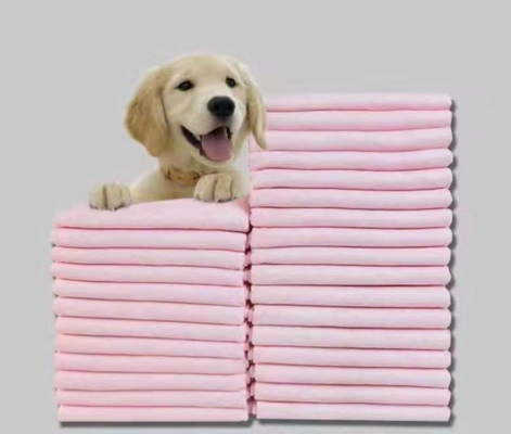 Köpekler İçin Ekstra Büyük Bambu Eğitim Pedleri Tek Kullanımlık Çiş Pedleri
