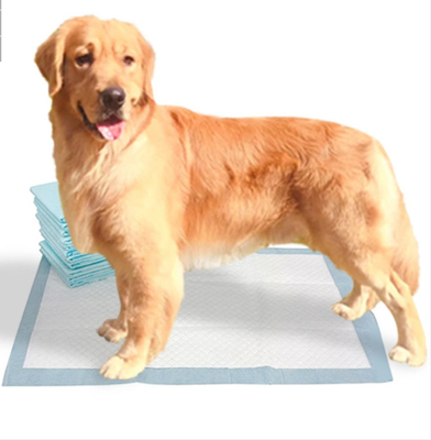 Köpekler İçin Ekstra Büyük Bambu Eğitim Pedleri Tek Kullanımlık Çiş Pedleri