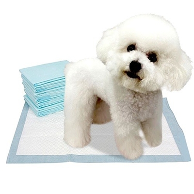 Çeviklik Eğitimi Tek Kullanımlık Pet Pedleri Beyaz 45x60cm 33x45cm 60x60cm