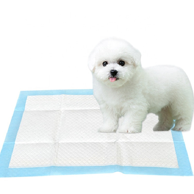 Tek Kullanımlık Emici Kapalı Pet İdrar Pedi Köpek Eğitimi Köpek Idrar Pedi
